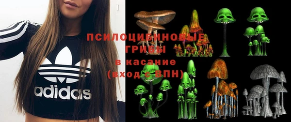 PSILOCYBIN Дмитров