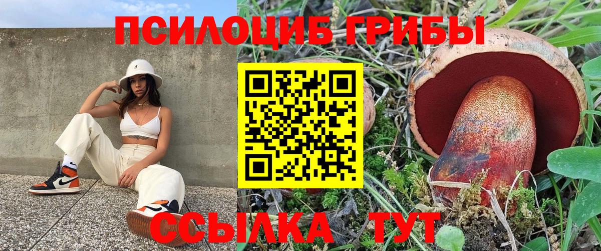 наркота  Корсаков  Галлюциногенные грибы GOLDEN TEACHER 