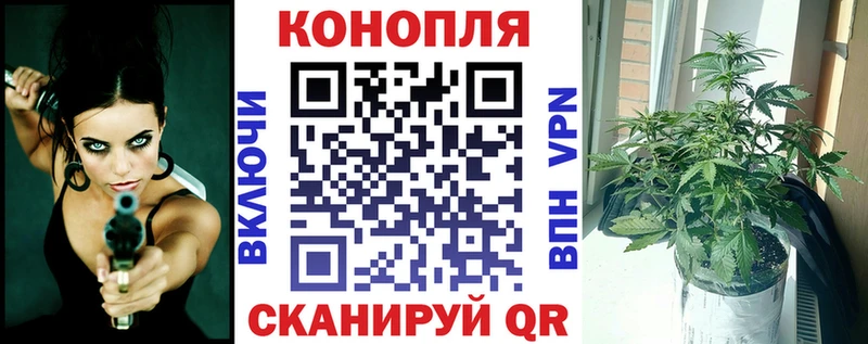 Конопля SATIVA & INDICA Корсаков